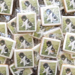 Custom Printed Cookies|Chefanie Hot